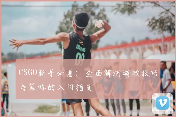 CSGO新手必看：全面解析游戏技巧与策略的入门指南