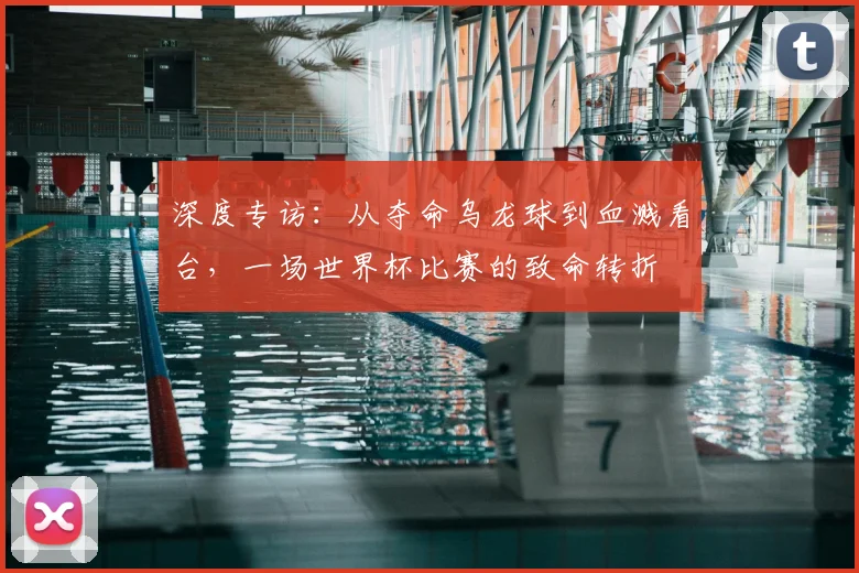 深度专访：从夺命乌龙球到血溅看台，一场世界杯比赛的致命转折