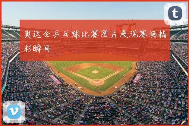 奥运会乒乓球比赛图片展现赛场精彩瞬间