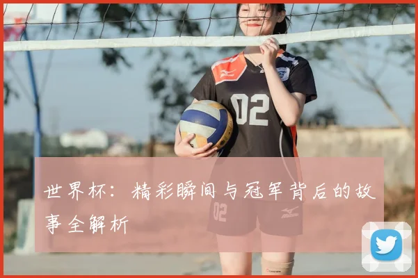 世界杯：精彩瞬间与冠军背后的故事全解析