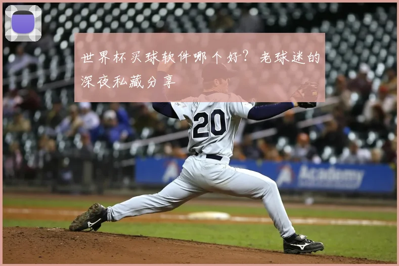 世界杯买球软件哪个好？老球迷的深夜私藏分享