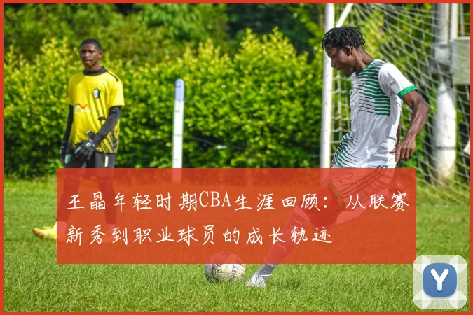 王晶年轻时期CBA生涯回顾：从联赛新秀到职业球员的成长轨迹