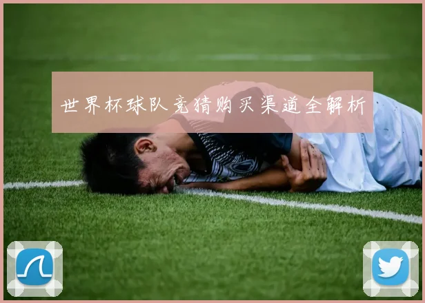 世界杯球队竞猜购买渠道全解析