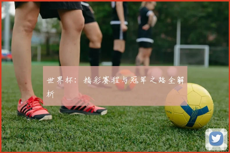 世界杯：精彩赛程与冠军之路全解析
