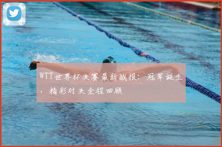 WTT世界杯决赛最新战报：冠军诞生，精彩对决全程回顾