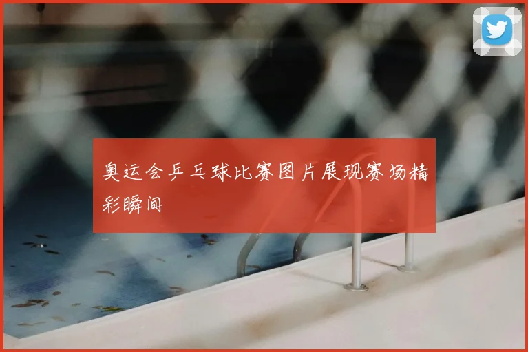 奥运会乒乓球比赛图片展现赛场精彩瞬间