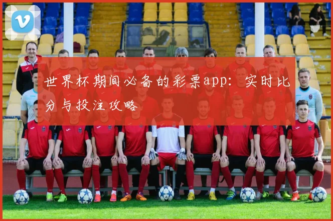 世界杯期间必备的彩票app：实时比分与投注攻略