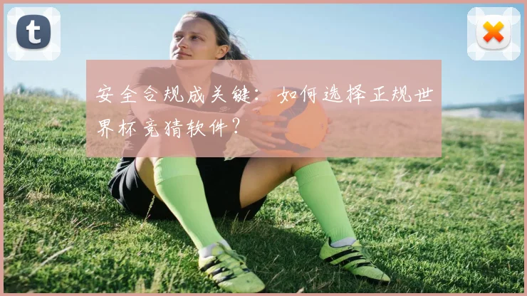 安全合规成关键：如何选择正规世界杯竞猜软件？