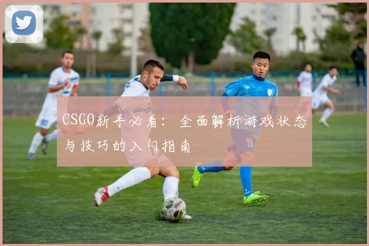 CSGO新手必看：全面解析游戏状态与技巧的入门指南