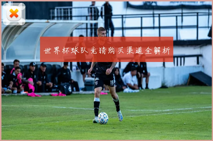 世界杯球队竞猜购买渠道全解析