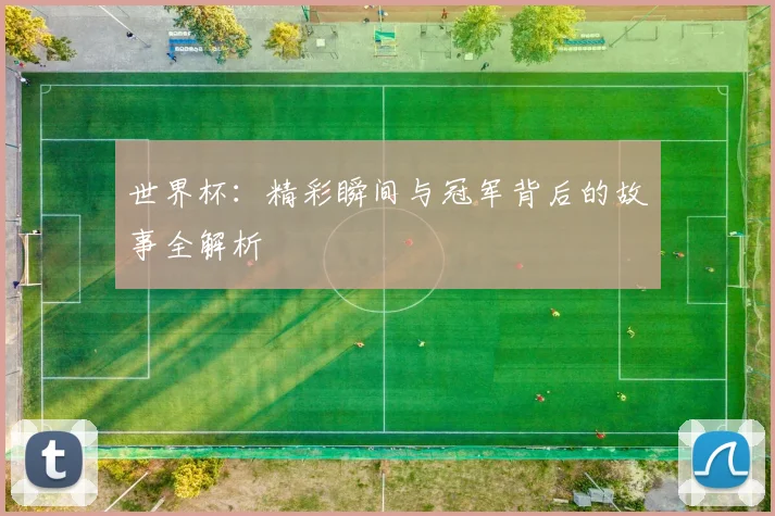 世界杯:精彩瞬间与冠军背后的故事全解析