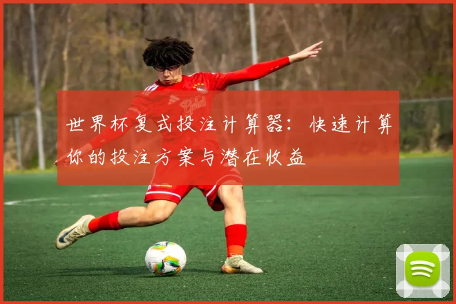 世界杯复式投注计算器：快速计算你的投注方案与潜在收益