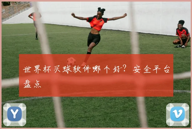 世界杯买球软件哪个好？安全平台盘点